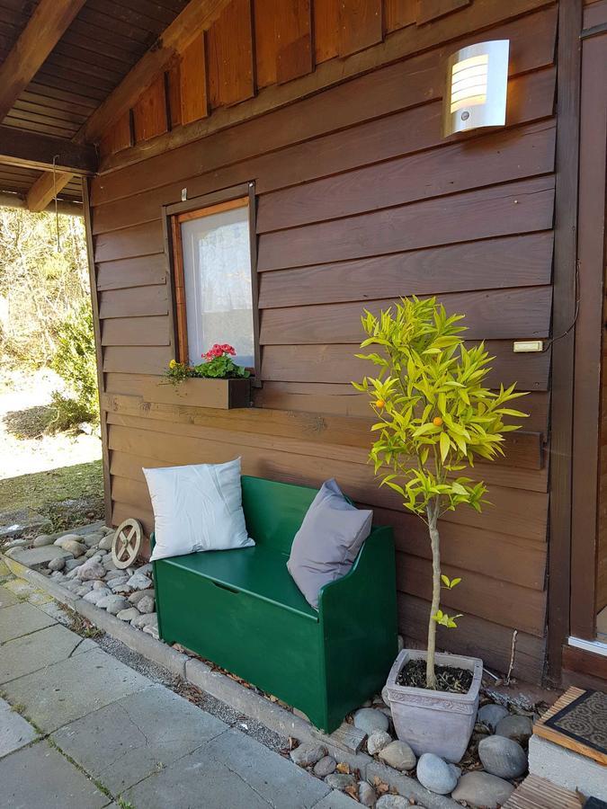 Gammelsbach Ferienhaus Bussard מראה חיצוני תמונה